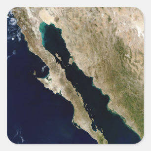 Gulf of California Square Sticker