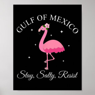 Gulf Of Mexico Stay Sally Resist Poster