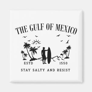 Gulf of Mexico stay salty and resist Magnet