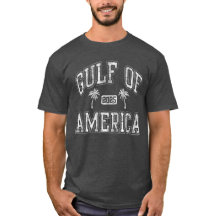 Gulf of the USA America 2025 Vintage
