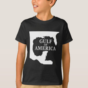 Gulf Of Usa America Shirt Funny Usa Flag Swea