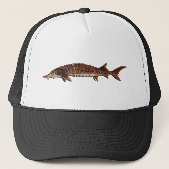 Gulf Sturgeon - Acipenser oxyrinchus desotoi Trucker Hat (Front)