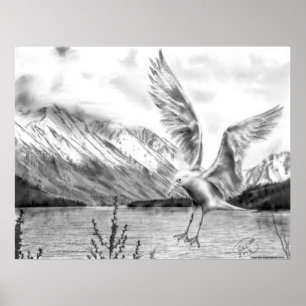 Gull and Mountains Poster