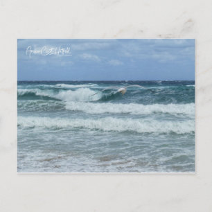 Gull and Sea Postcard