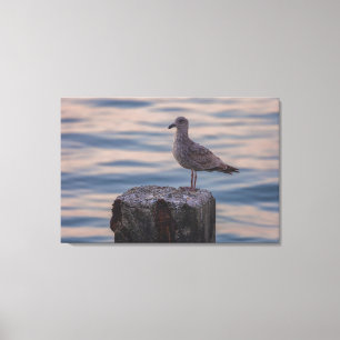 Gull at Dusk  Canvas Print
