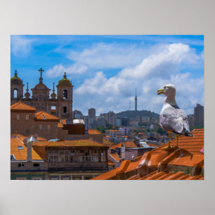 Gull Birds Eye View Rooftops of Portugal Poster