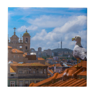 Gull Birds Eye View Rooftops of Portugal Tile