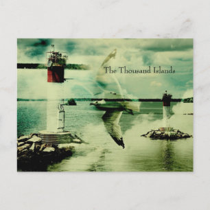 gull flight - the thousand islands postcard