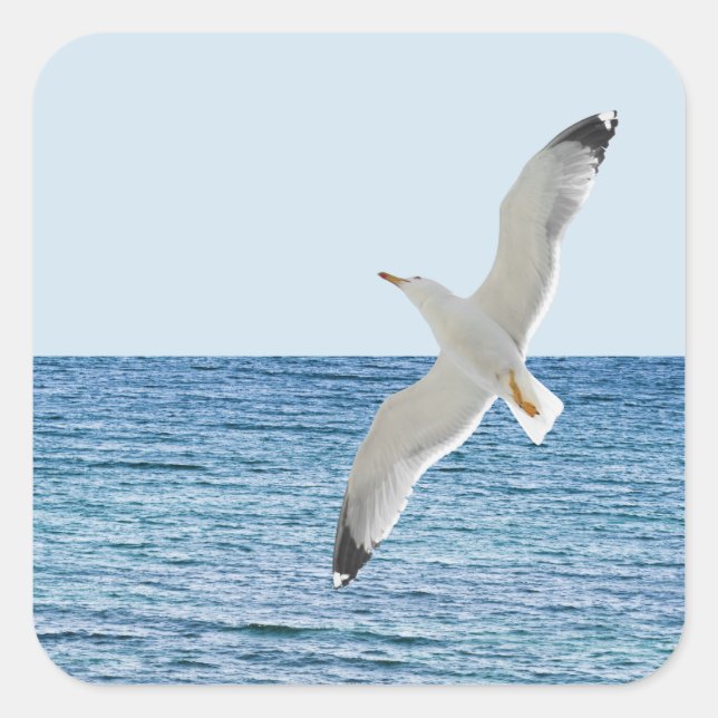 Gull flying above a sea square sticker (Front)