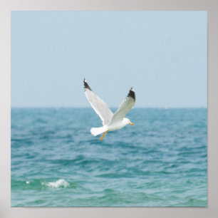 Gull flying above sea poster