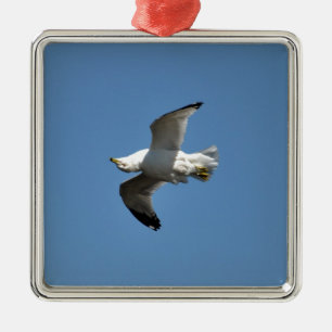 Gull Flying Upside Down Funny Wildlife Photography Metal Tree Decoration