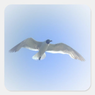 Gull in Flight 2 Sticker