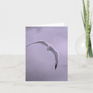 Gull in flight black and white holiday card
