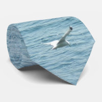 GULL IN FLIGHT 