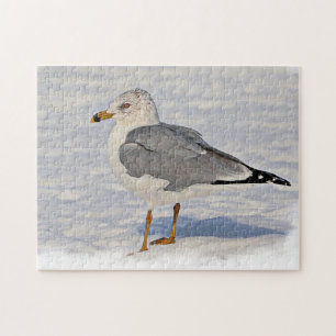 Gull in the snow jigsaw puzzle