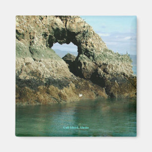 Gull Island, Alaska Magnet