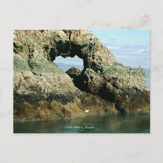 Gull Island, Alaska Postcard (Front)