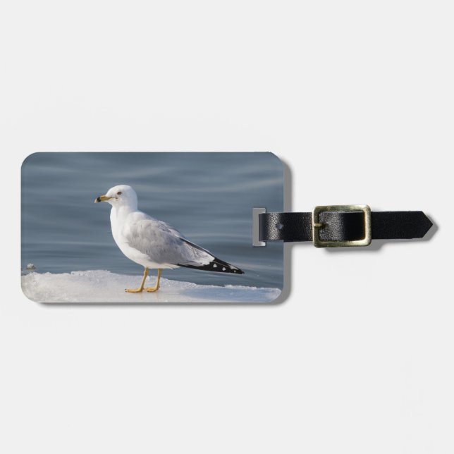 Gull on ice luggage tag (Front Horizontal)