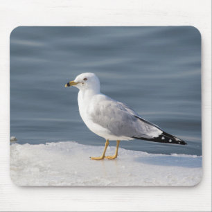 Gull on ice mouse mat