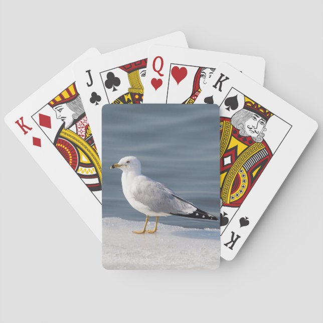 Gull on ice playing cards (Back)