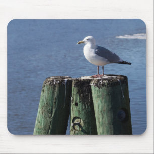 Gull on Pilings Mouse Mat