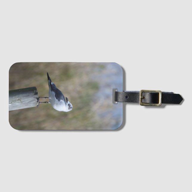 Gull on Post Luggage Tag (Front Horizontal)