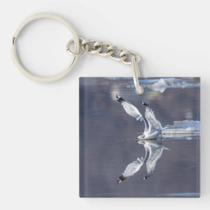 Gull Reflections Key Ring