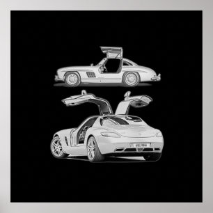Gull Wing Then and Now Poster