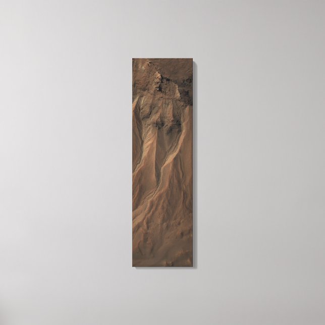Gullies at the Edge of Hale Crater, Mars Canvas Print (Front)
