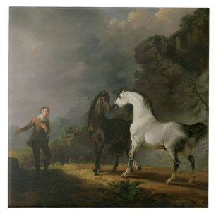 Gulliver Addressing the Houyhnhnms, 1769 (oil on c Tile