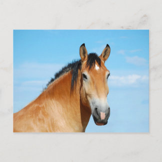 Gulliver Headshot Postcard