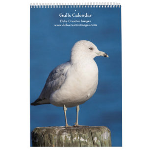 Gulls 2025 calendar