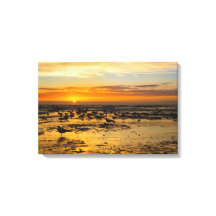 gulls at sunset