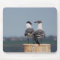 Gulls Mousepad