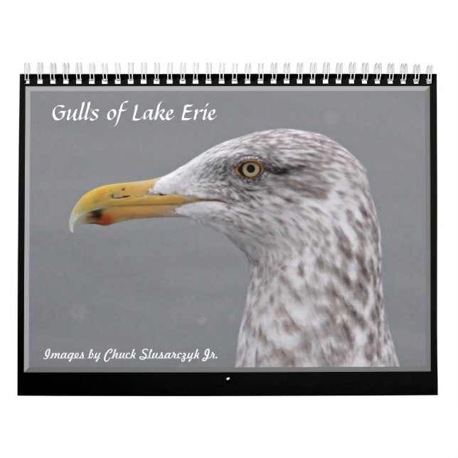 Gulls of Lake Erie Wall Calendar (Cover)