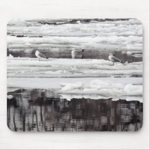 Gulls On Ice Mouse Mat