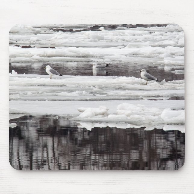 Gulls On Ice Mouse Mat (Front)