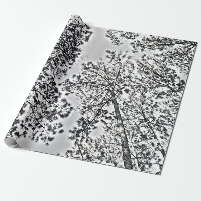 Gumtree wrapping paper (Unrolled)