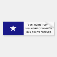 gun rights today