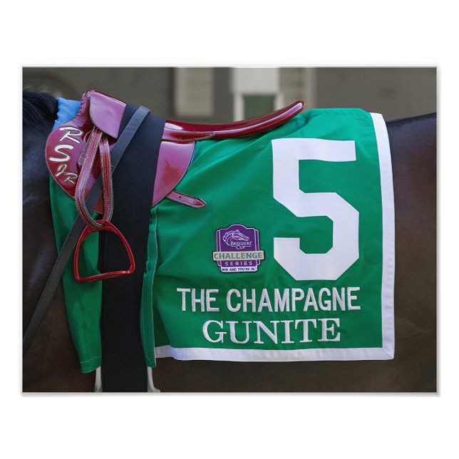 Gunite Saddlecloth Photo Print (Front)