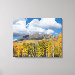 Gunnison National Forest, Colorado Canvas Print