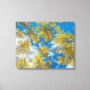 Gunnison National Forest Colorado Canvas Print