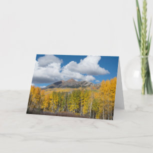 Gunnison National Forest, Colorado Card