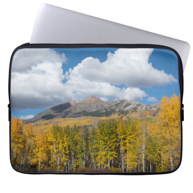 Gunnison National Forest, Colorado Laptop Sleeve (Front)
