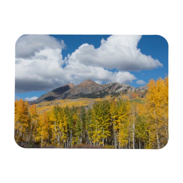 Gunnison National Forest, Colorado Magnet (Horizontal)