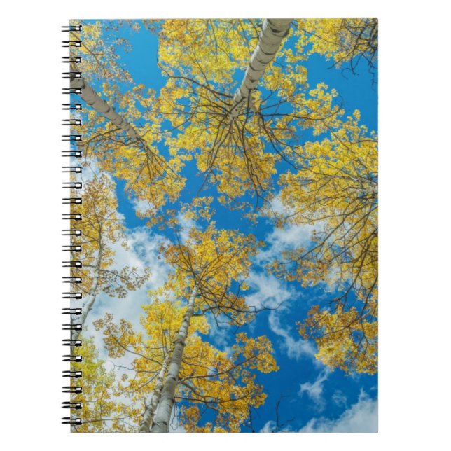 Gunnison National Forest Colorado Notebook (Front)