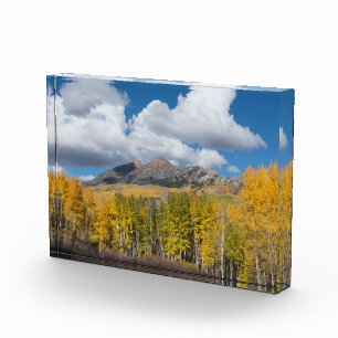 Gunnison National Forest, Colorado Photo Block