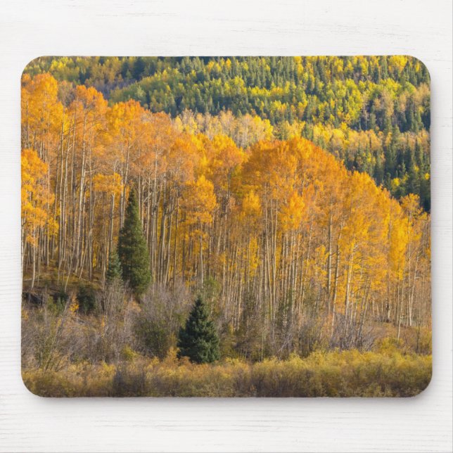Gunnison National Forest Mouse Mat (Front)