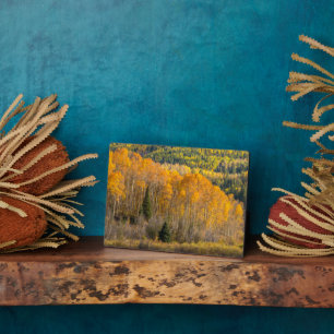 Gunnison National Forest Plaque