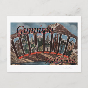 Gunnison Nat'l Forest, Colorado Postcard